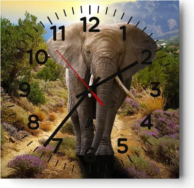 Produktbild von Wanduhr - Quadrat - Glasuhr - Tiere Afrika Elefanten Spaziergang - 30x30cm - Schleichendes Uhrwerk - Lautlos - zum Aufhängen bereit - Dekoration Modern - Wanddekoration aus Glas - C4AC30x30-2708