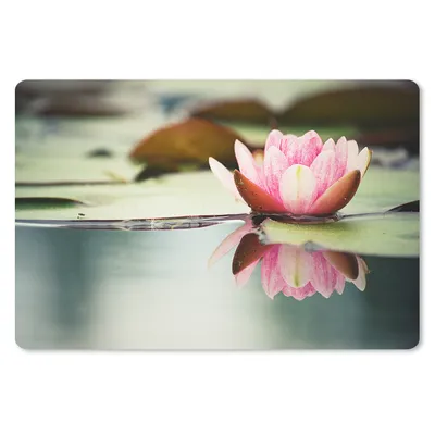 Produktbild von MuchoWow® Mauspad Mousepad Seerose - Blumen - Wasser 27x18 cm - Mousepads - Maus Mat - Pad - Mausunterlage - Büroartikel - Desk Matten