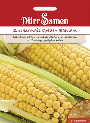 Produktbild von Dürr-Samen - Zuckermais Golden Bantham - Saatgut - 0554