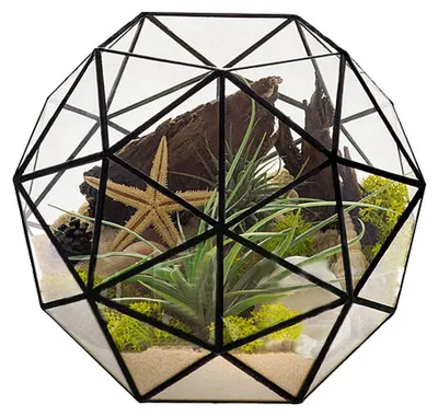 Image de Terrarium géométrique - Conteneur en verre pour plantes - Décoration miniature - 23x23x19 cm