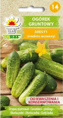 Zdjęcie produktu dla Ogórek gruntowy Ogórek gruntowy ARES F1 średnio wczesny nasiona 5g Toraf 126