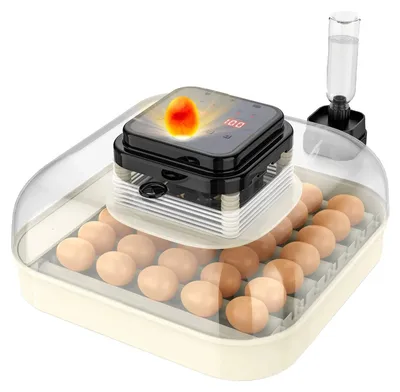 Obrázok produktu pre Inkubátor, automatické otáčanie, presná regulácia klímy, kapacita 35 vajec