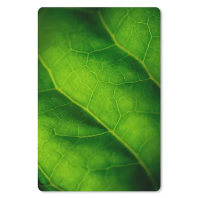 Produktbild von MuchoWow® Mauspad Mousepad Grüne Farben eines botanischen Blattes 40x60 cm - Mousepads - Maus Mat - Pad - Mausunterlage - Schreibtisch Accesoire