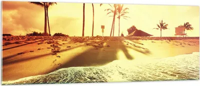Produktbild von Bilder auf glas - Strand Meer Palme - 140x50cm - Glasbilder - Wandbilder - Kunstdruck - zum Aufhängen bereit - Wanddekoration aus Glas - Glas Bilder - Wandbild auf Glas - Einteilig - GAB140x50-3609