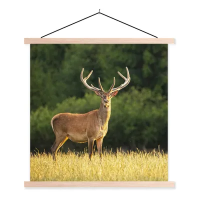 Produktbild von MuchoWow® Textilposter Hirsch - Geweih - Gras - Natur - Tiere - Grün 40x40 cm mit holzfarbenen Rahmen - Posterleiste