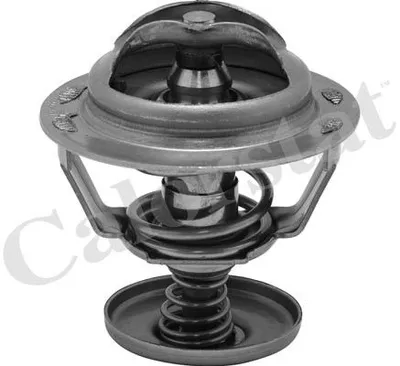 Produktbild von CALORSTAT by Vernet Thermostat + Dichtung