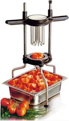 Image de Diviseur inox 12 quartiers - Bron Coucke - DIV12 -