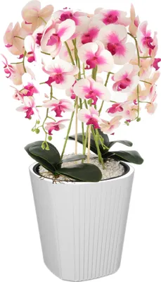 Obrázok produktu pre Kvetináč s nízkou vložkou okrúhly Ø39 cm H 41 cm biely moderný
