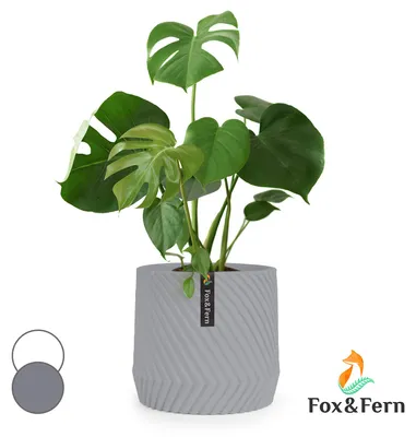 Obrázek produktu pro Fox & Fern Heusden, květináč, Polystone, vhodný pro rostliny, ruční výroba