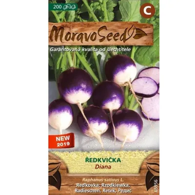Zdjęcie produktu dla Okrągła rzodkiewka DIANA 65956