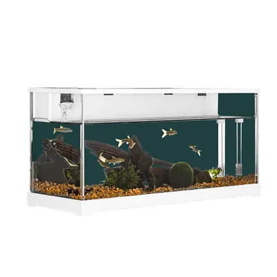 Image de Aquarium rectangulaire en verre Aquarium d'eau salée avec pompe de circulation, pompe à eau silencieuse 38 x 14 x 18 cm blanc