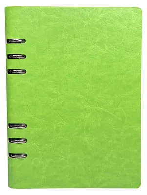 Produktbild von Ringbuch Notizbuch A5 Leder Grasgrün nachfüllbar 100 Seiten wasserdicht D-Ringbinder