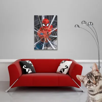 Image de Spider-Man - Poster - Gotcha + 1 sur-poster de taille 61x91,5cm