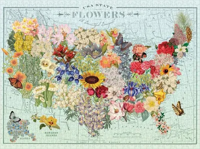 Produktbild von GALISON Puzzle USA der Blumen 1000 Teile