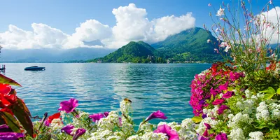 Produktbild von Tulup Glas-Bild -140x70- Wandkunst Dekorative Wand für Küche & Wohnzimmer - Landschaften - Blumen am See - Mehrfarbig