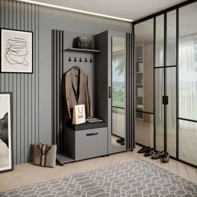 Produktbild von Garderobenschrank LIVIA – Garderoben-Set mit Spiegel und Aufhängern, Graphit, Lamellen in Schwarz, Sitzkissen in Schwarz, Links