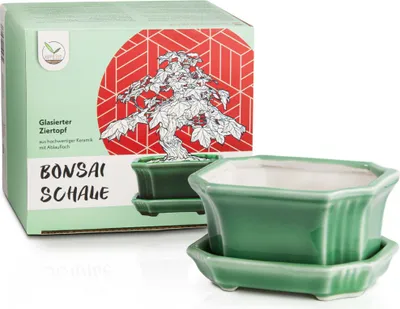 Produktbild von Bonsai Schale aus Keramik mit Untersetzer in Jadegrün - Bonsai Topf eckig für die perfekte Inszenierung Ihres Zimmerbonsais - 11 x 6,5 x 9 cm