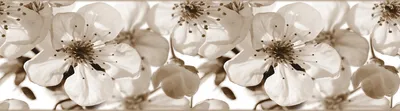 Immagine prodotto di Sanders & Sanders bordo adesivo fiori beige chiaro 500 x 14 cm