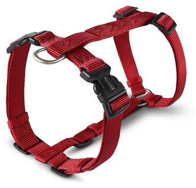 Produktbild von Wolters Geschirr Professional für Mops & Co., Größe:L 50 - 80 cm x 20 mm, Farbe:rot