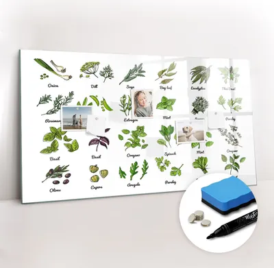Produktbild von Magnetpinnwand Memoboard - Zubehörsatz - Schwarzer Marker + Schwamm + Magnete - 120 x 60 cm - Arten von Bäumen