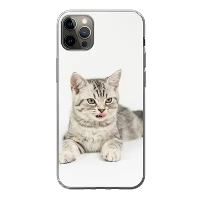Produktbild von MuchoWow® Handyhülle Schutzhülle Hülle für iPhone 12 Pro Max Kitten - Weiß - Sohle - Mädchen - Kinder - Jungen - Kind Silikon Softcase Handy Hülle - Hartschale