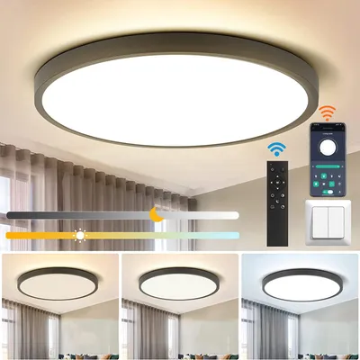 Obrázok produktu pre 38 W LED stropné svietidlo s možnosťou stmievania, 3 farebné teploty, stropné svietidlo do kuchyne, obývačky a spálne, čierne