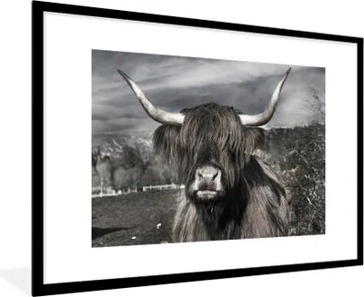 Produktbild von MuchoWow® Gerahmtes Poster Schottischer Highlander - Tiere - Hörner 90x60 cm - Poster mit Schwarzem Bilderrahmen Wandposter Rahmen Foto Bilder - Wanddekoration - Fotos