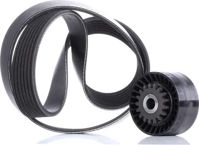 Produktbild von INA 529 0016 10 Keilrippenriemensatz für RENAULT Clio III Schrägheck (BR0/1, CR0/1)