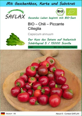 Produktbild von SAFLAX Geschenk Set - BIO – Chili – Piccante Cilieglia - Capsicum annuum - 10 Samen - Mit Geschenkbox, Versandaufkleber, Geschenkkarte und Anzuchtsubstrat
