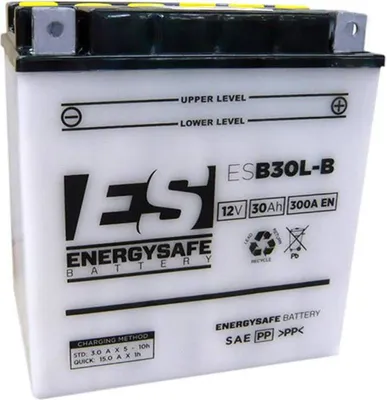Immagine prodotto di Batteria Energysafe ESB30L-B 12V/30AH
