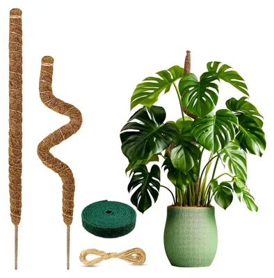 Produktbild von 2 Stück Monstera Rankhilfe, Kokos Moosstab, Biegsame Moosstäbe für Pflanzen, Moosstab-Set für Kletterpflanzen Pflanzenstütze (80cm)