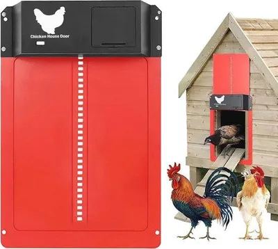 Image de Trappe basculante automatique avec capteur de lumière pour poulaillers
