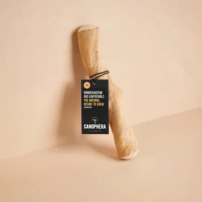 Produktbild von Hundespielzeug CANOPHERA Hundekaustab aus Kaffeeholz Größe M ca. 22 - 26 cm, für Hunde bis 20 kg braun, Stressabbau, Zahnpflege, Beschäftigung