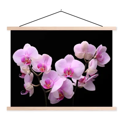 Produktbild von MuchoWow® Textilposter Orchidee - Blumen - Rosa - Flora 40x30 cm mit holzfarbenen Rahmen - Bilder