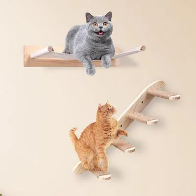 Produktbild von Famanu Katzenwand mit Katzenhängematte - 3-teiliges Klettersystem für Katzen