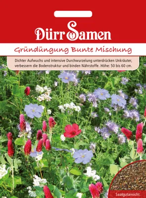 Artikelbild 1 von 'Gründüngung Bunte Mischung 500g' aus der Kategorie Gründünger & -düngung