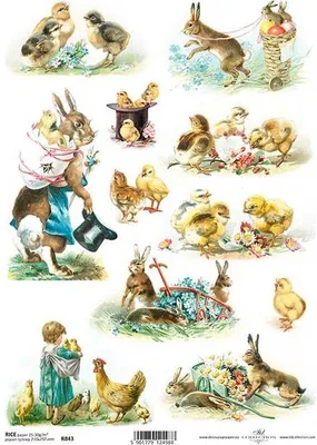 Produktbild von ITD Reispapier Decoupage Bastelpapier Softpapier Serviettentechnik, Hühner R843