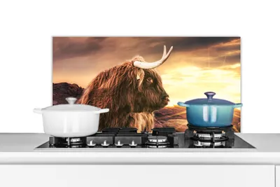 Obrázok produktu pre MuchoWow® Splashback Kuchyňa - Kuchynský backsplash - Ochrana steny pre sporák a drez Škótsky horal - Príroda - Slnko 90x45cm Alu-Dibond (alternatíva