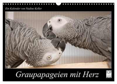 Produktbild von Graupapageien mit Herz (Wandkalender 2027 DIN A3 quer), CALVENDO Monatskalender
