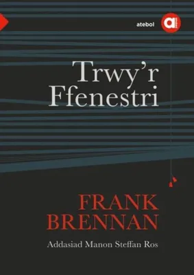 Produktbild von Cyfres Amdani: Trwy'r Ffenestri