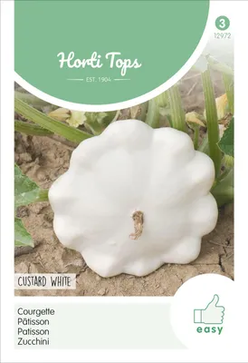 Produktbild von Patisson Custard White | Patissonkürbissamen von Hortitops