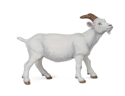 Produktbild von Papo Farm Life Weiße Ziege 51144
