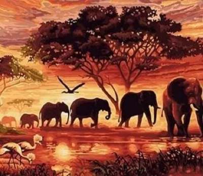 Image de Kit de peinture par numéros : Un troupeau d'éléphants au coucher du soleil, format 50x40, avec cadre
