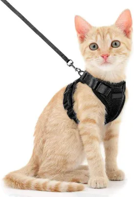 Produktbild von Famanu Katzenharness Verstellbar mit 150 cm Leine für Katzen und Welpen