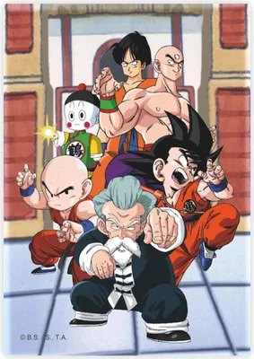 Obrázek produktu pro Dragon Ball Magnet Tournament