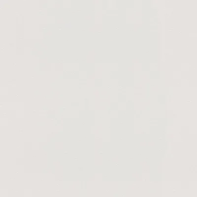 Image de Profhome 298270-GU Papier peint ton-sur ton mat gris 5,33 m2