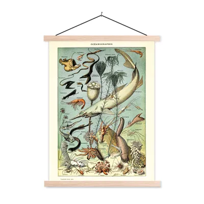 Produktbild von MuchoWow® Textilposter Tiere - Meer 60x80 cm mit holzfarbenen Rahmen - Wandbild