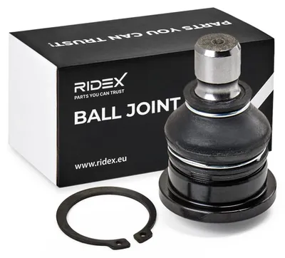 Produktbild von RIDEX Traggelenk Vorne für FORD Fiesta Mk6 Schrägheck (JA8, JR8) 2462S0265