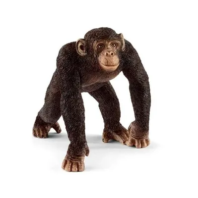 Produktbild von Schleich, Figurine Wildlife Männlicher Schimpanse aus den tropischen Regenwäldern Afrikas, Braun