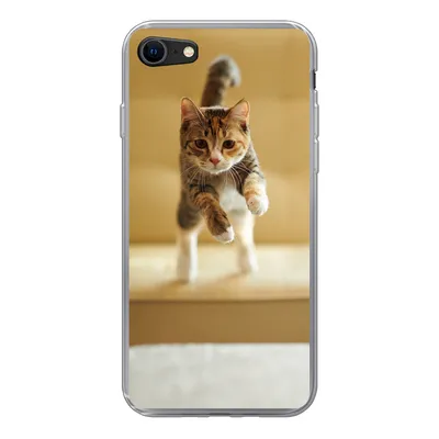 Produktbild von MuchoWow® Handyhülle Schutzhülle Hülle für iPhone SE 2020 Katze - Frühling - Stuhl Silikon Softcase Handy Hülle - Kartenbesitzer